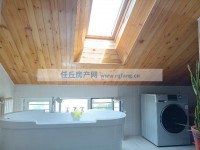 其它图
