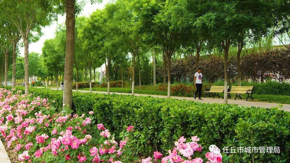 1638318592100638.jpg 微信图片_20211201082601.jpg